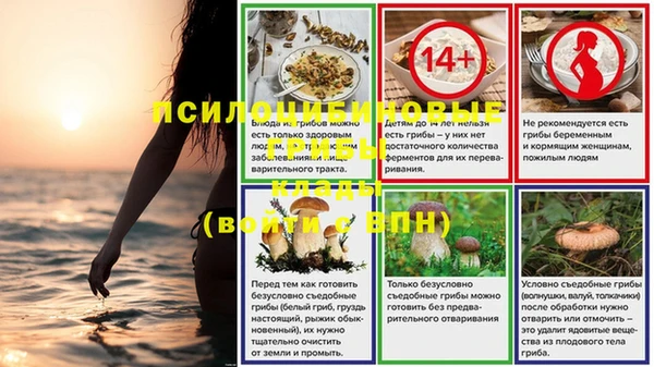ПСИЛОЦИБИНОВЫЕ ГРИБЫ Пролетарск