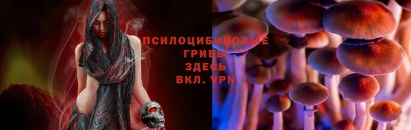 ALPHA PVP Арсеньев