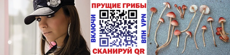 Псилоцибиновые грибы ЛСД  Светлый 